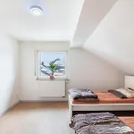 Lejlighed Panda