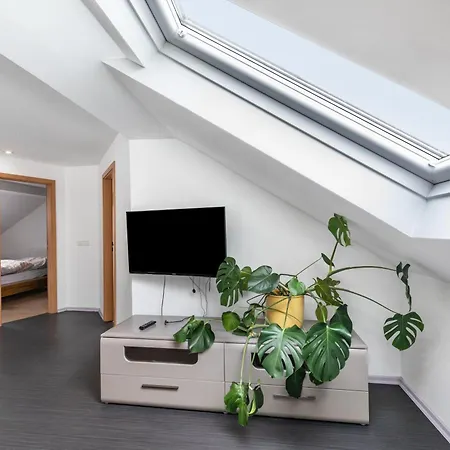 Panda Apartment *