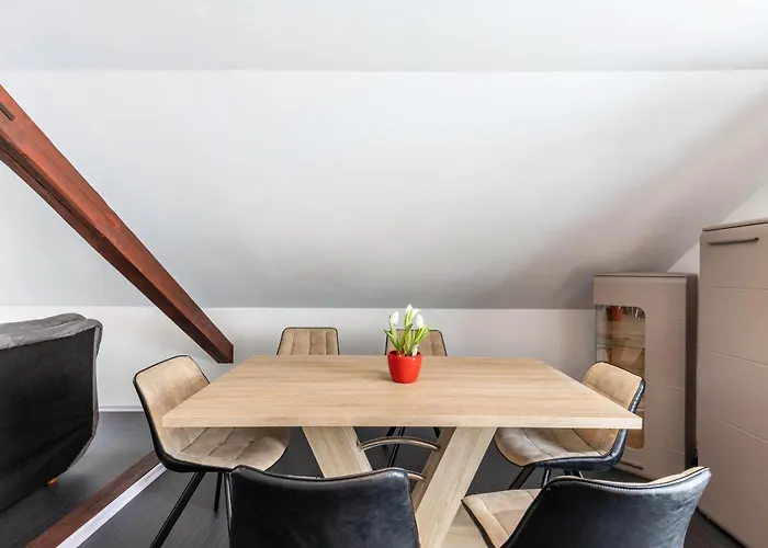 Panda * Babenhausen (Hessen)