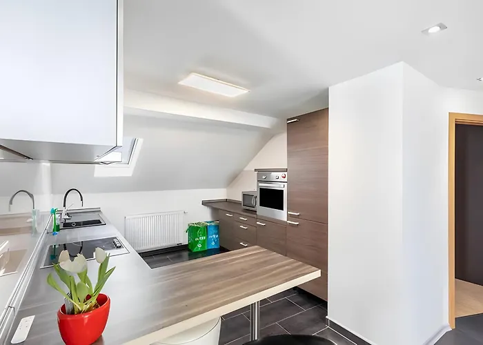 Panda Apartment Babenhausen (Hessen)